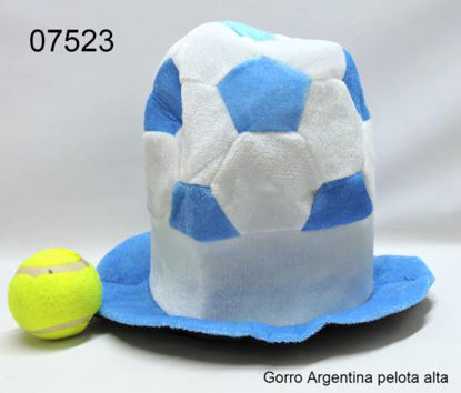 Imagen de GORRO ARGENTINA PELOTA ALTA 2.24